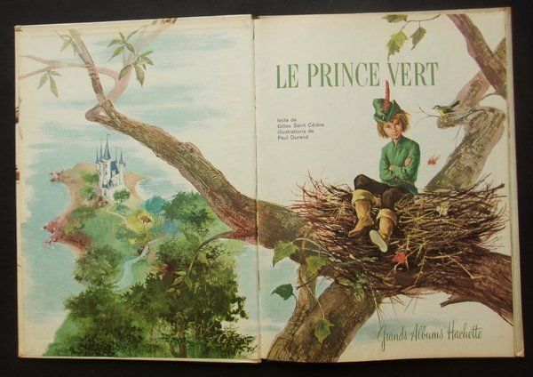 Libri: Le prince vert – Usato da Neuchâtel venduto da Dualseele 1