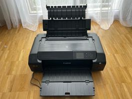 Canon PRO-200 Tintenstrahldrucker (B5-A3) - wenig gebraucht