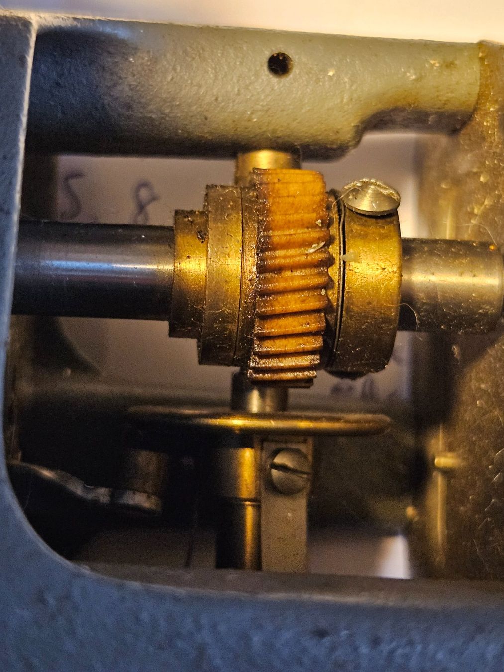 Tutte le macchine: Schneckengetriebe mit starker Untersetzung / 100-250V AC – Usato da Zürich venduto da Leimbi28 5