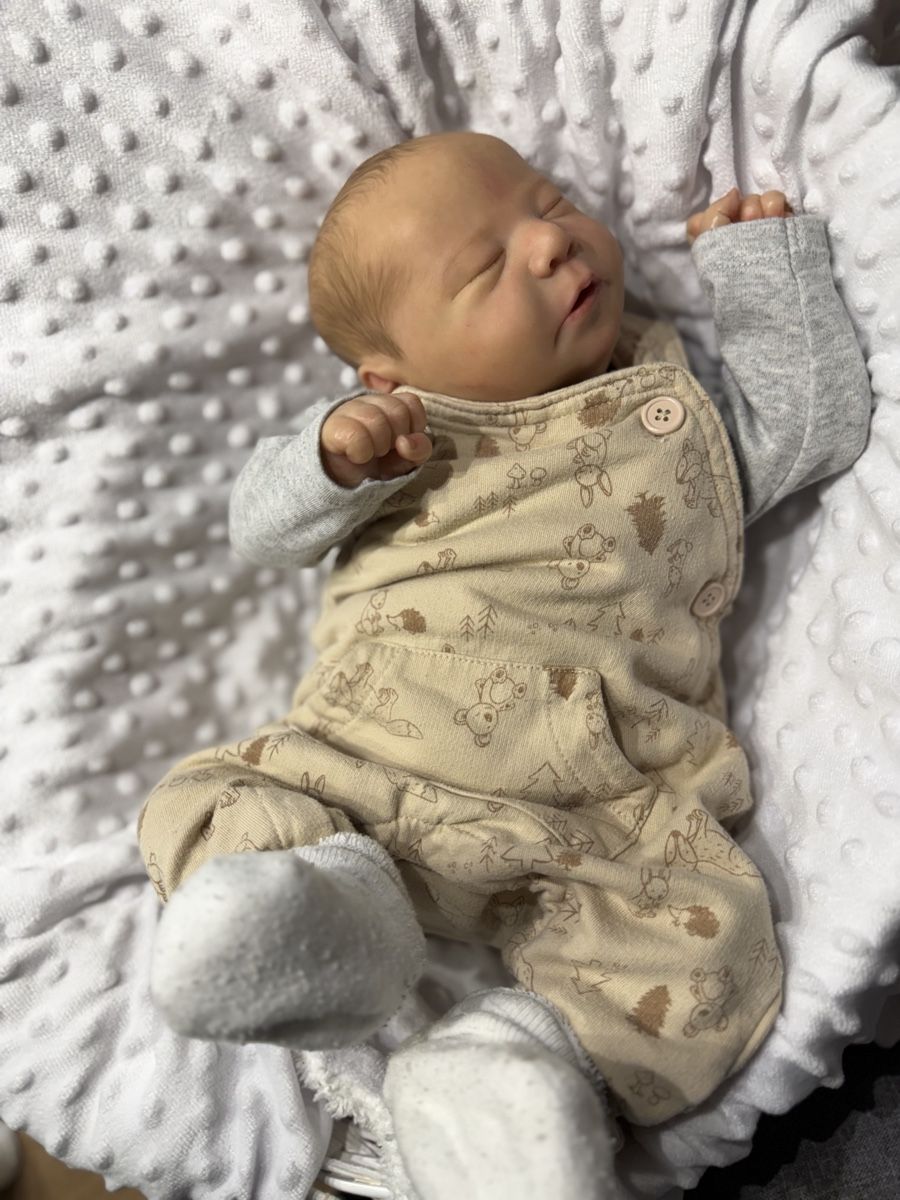 Reborn Puppen: Reborn  – Gebraucht aus Unterentfelden von van_m8g7 1