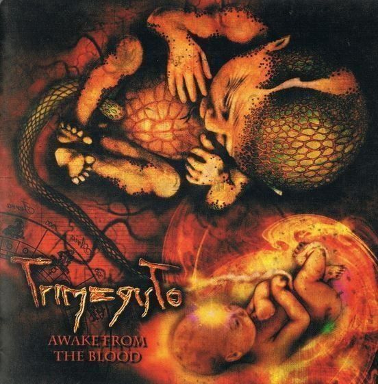 CD: Trimegisto - Awake... – Usato da St-Cergue venduto da VeganWarrior