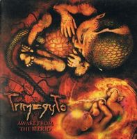 Trimegisto - Awake...