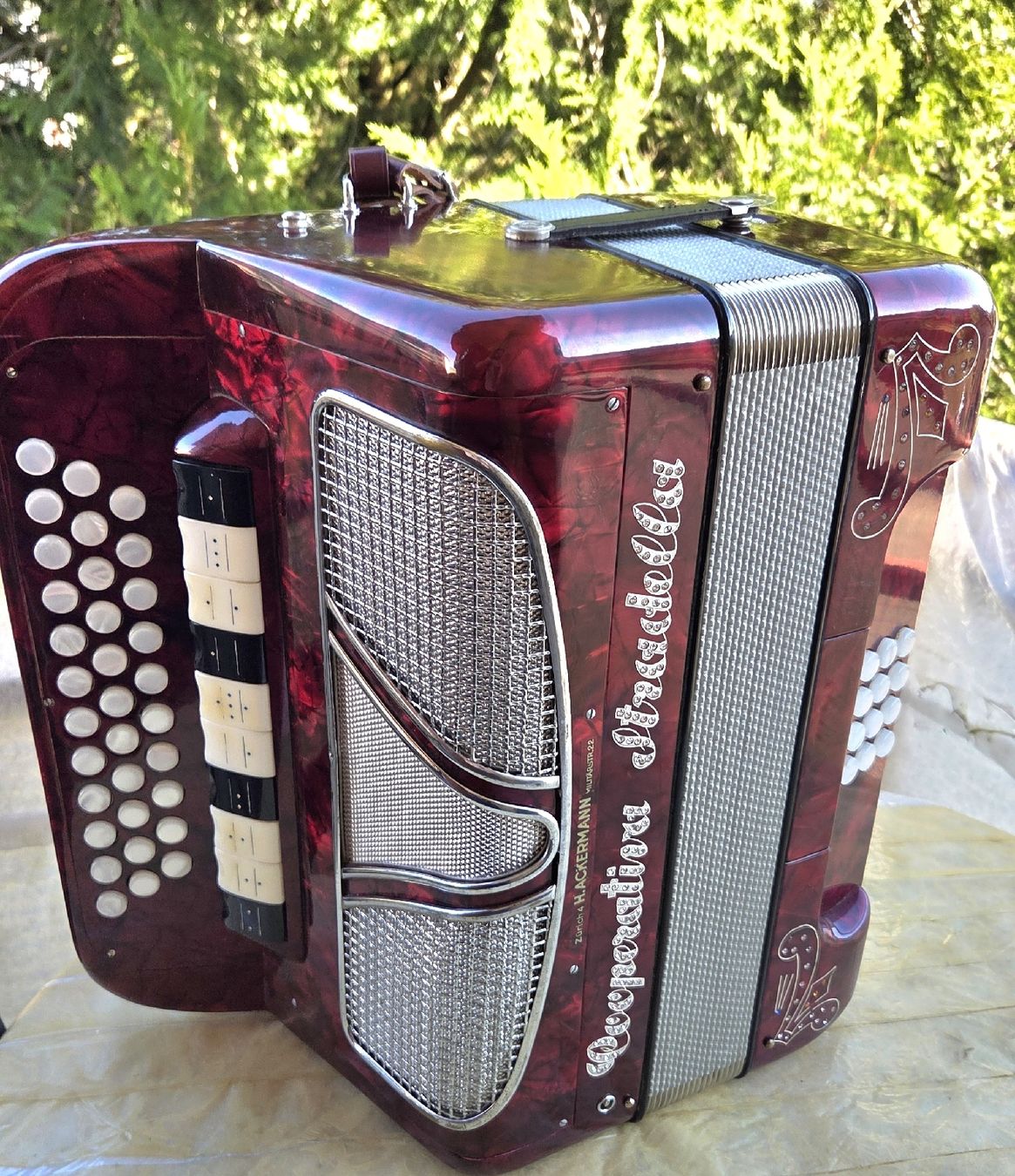 Strumenti musicali: concertina cooperativa stradella – Usato da Penthalaz venduto da EvandroLuz 1