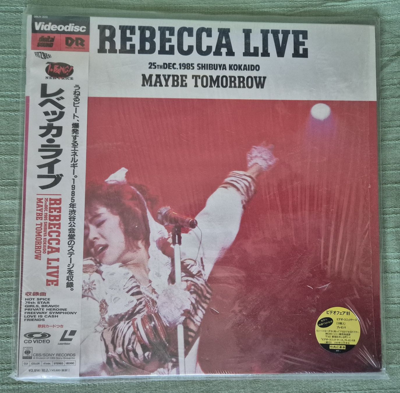 Dischi in vinile: 2 LD Laserdisc - MISATO/BORN - REBECCA LIVE – Usato da Petit-Lancy venduto da guy_vmz2 3