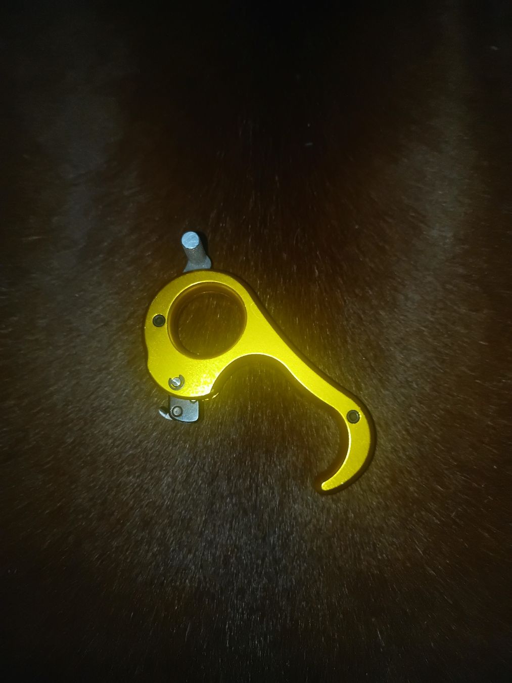 Tiro con l'arco: CARTER Honey 2 - Release – Usato da Sachseln venduto da oli_8r6w