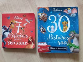 2 Kinderbücher aus der Disney-Reihe , Französisch.