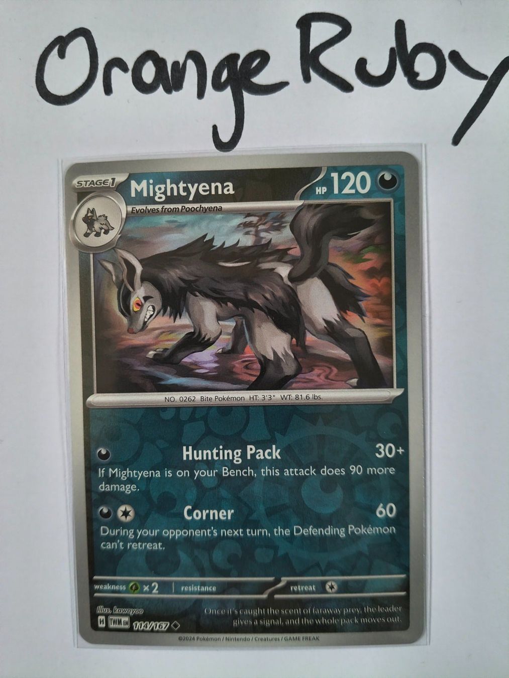 Pokémon Carte collezionabili: Mightyena 114/167 REVERSE HOLO Twilight Masquerade TWM EN – Usato da St. Gallen venduto da OrangeRuby