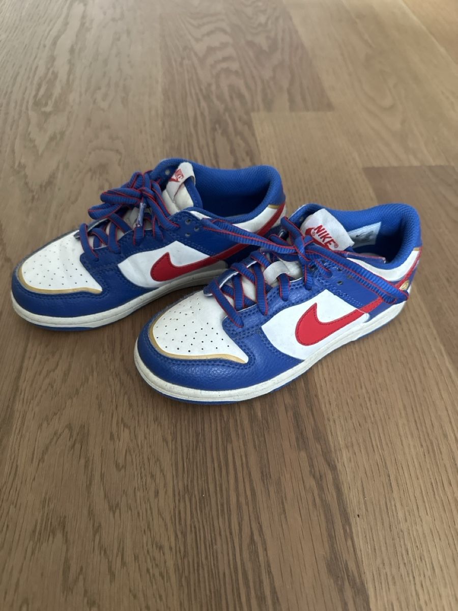 Nike Schuhe für Jungen: Nike Dunk Low Sneaker Kinder  – Gebraucht aus Binningen von mar_nz5s