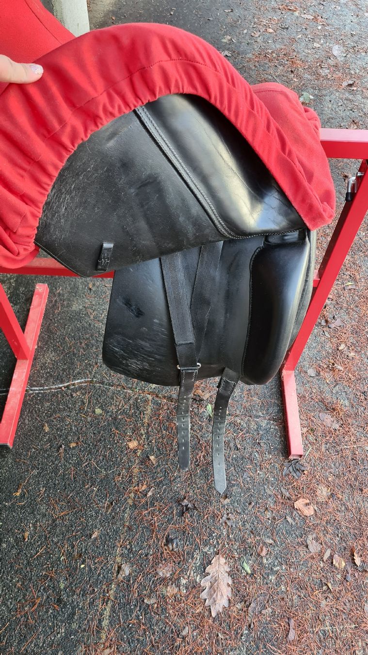 Selles, accessoires: la belle sattel – D'occasion à Trimbach par Meily2