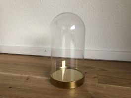 IKEA BEGÅVAD Glasglocke / Cloche mit goldfarbenem Sockel