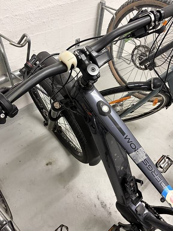 Biciclette: Bergstrom E-Bike – Usato da Zürich venduto da ram_tlf5 2