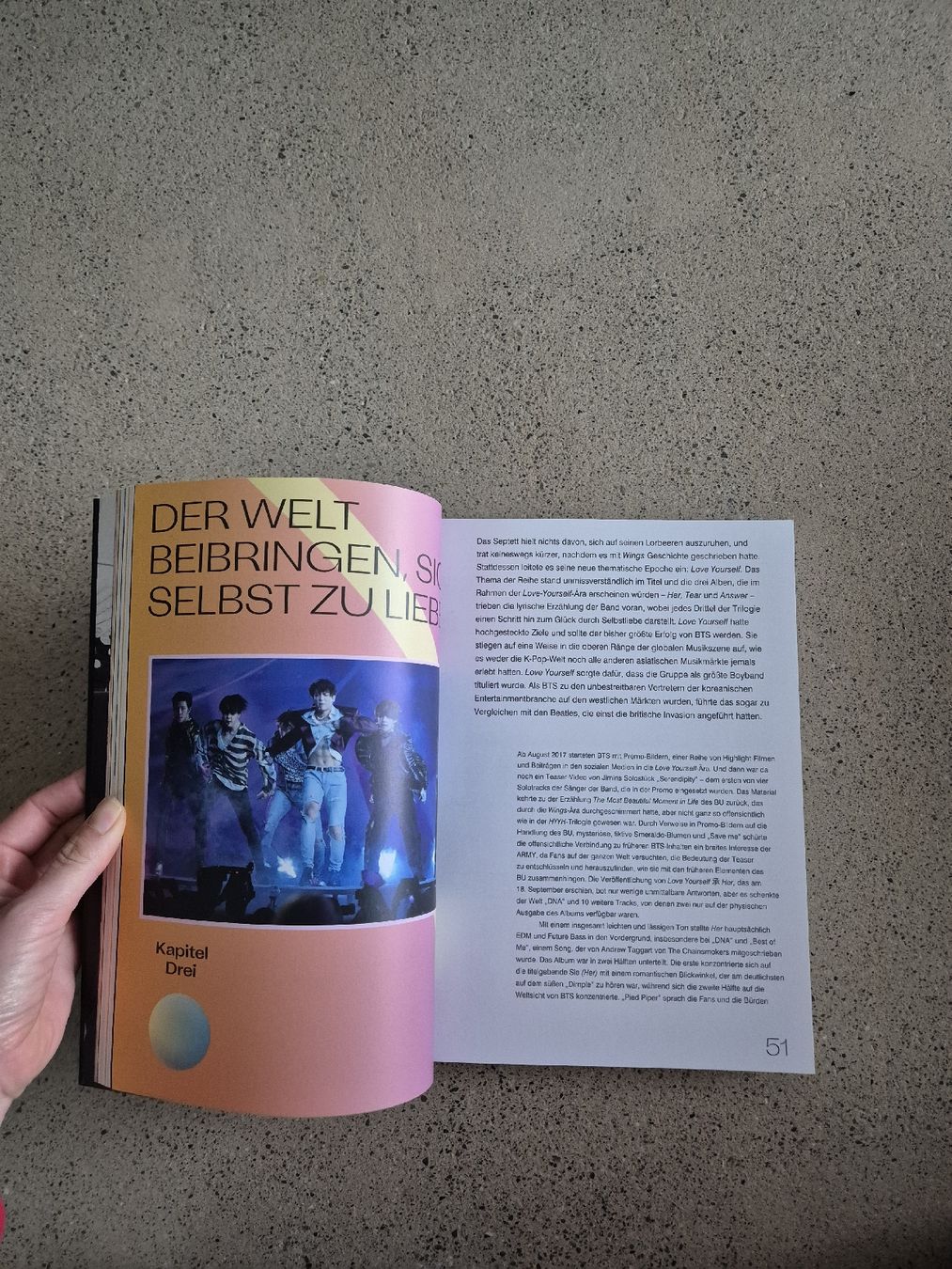 Libri: BTS Blood, Sweat & Tears – Usato da Schlieren venduto da nat_76vd 2