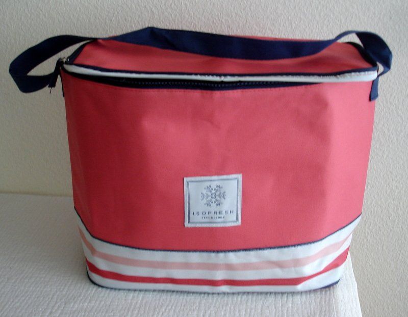 Kühlschränke & Kühlen: 2er Set: elegante Kühltasche - Box & Freizeit-Tasche – Gebraucht aus Regensdorf von anna059 2