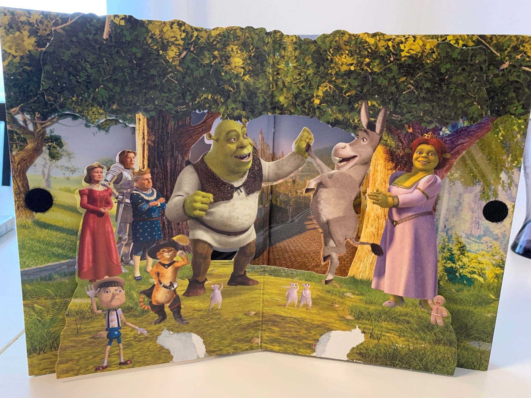 Alle DVDs: DVD- Shrek 2- Special Edition – Gebraucht aus Kreuzlingen von jamie45 2