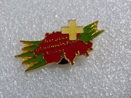 Ansteckpin 249: Für eine Glaubwürdige Armee