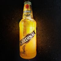Cardinal Bier Werbung Vintage Leuchtreklame Wandlampe