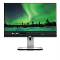 Dell UltraSharp 2415 24 Zoll