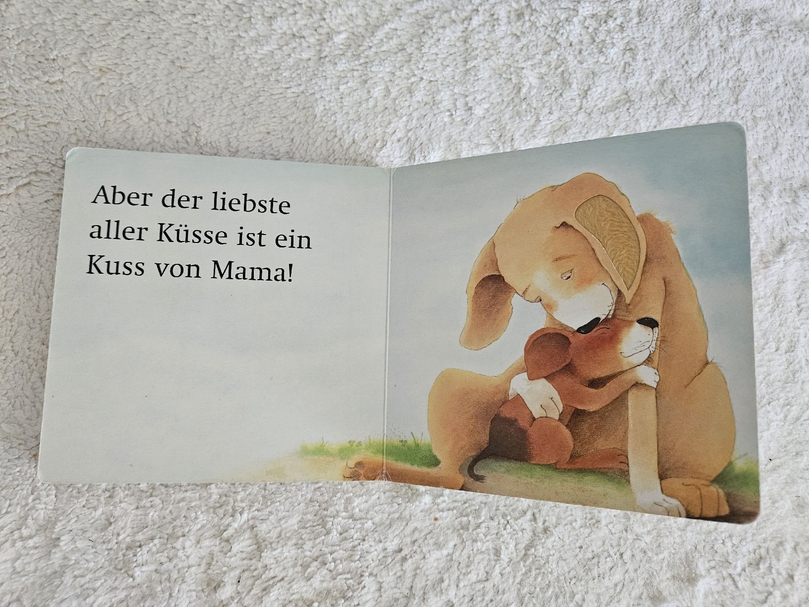 Libri: Baby Fühlbuch "Noch ein Kuss" – Usato da Zürich venduto da Kris8050 7