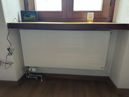 Heizkörper Borer HL 900x420