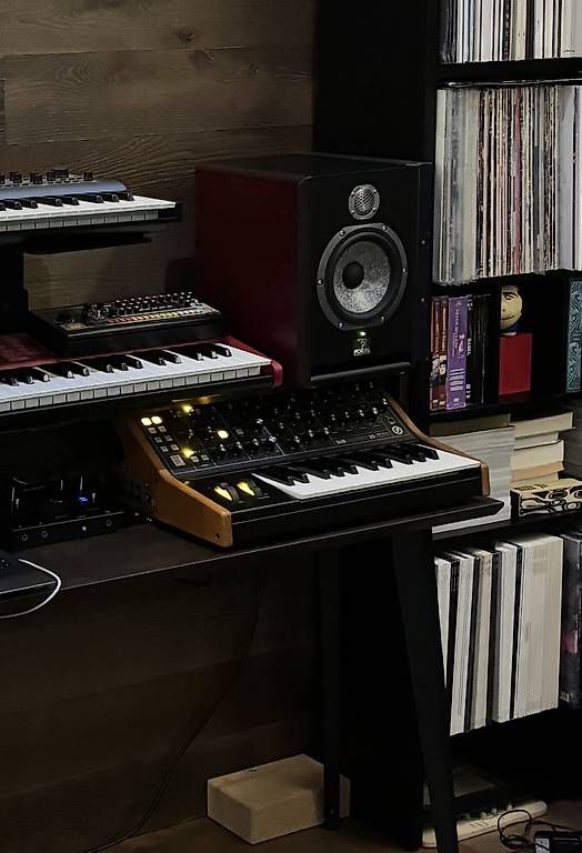 Strumenti musicali: Moog Subsequent 25 – Usato da Pregassona venduto da emm_5v8d 1