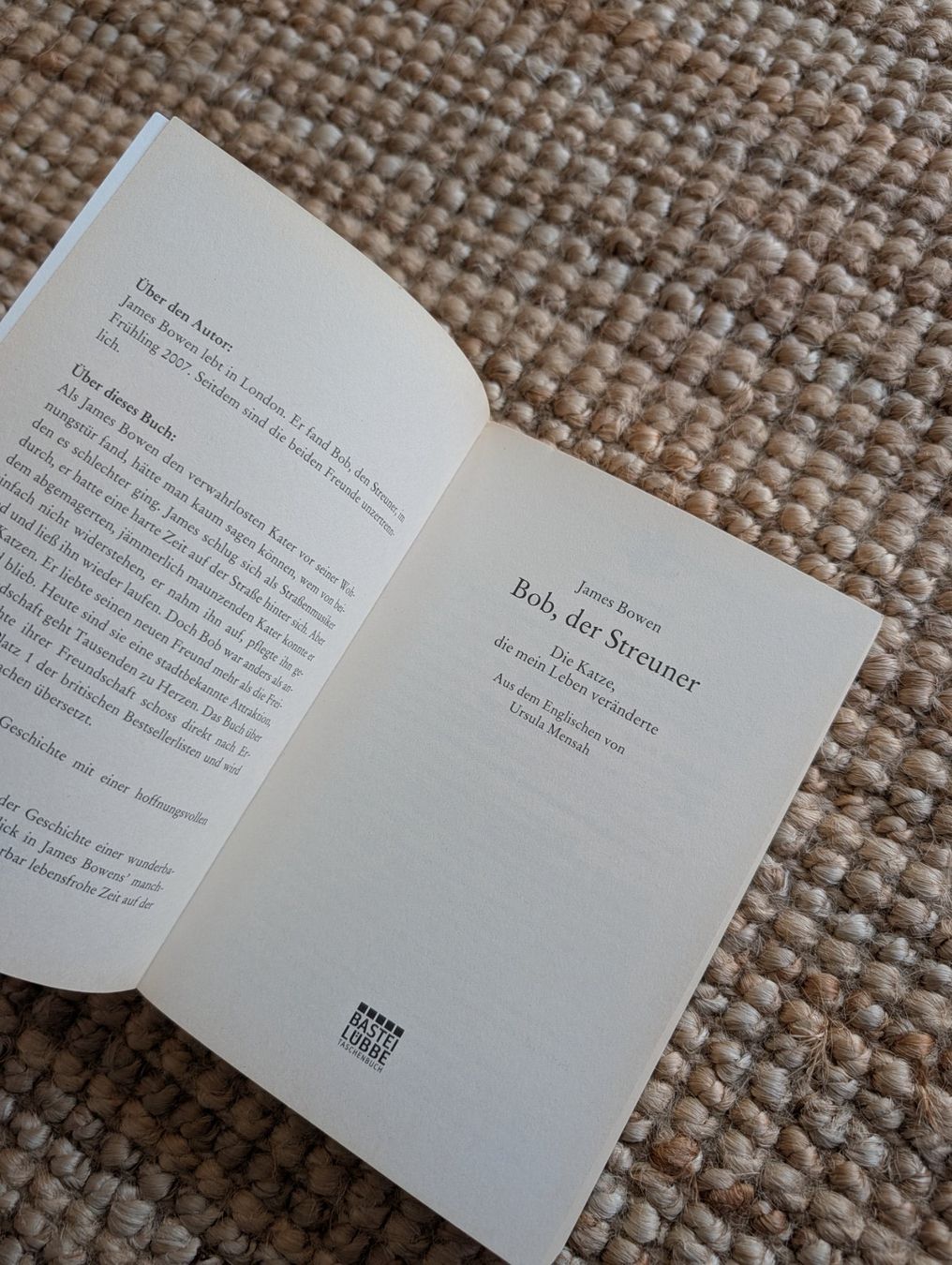 Libri: Buch Bob der Streuner von James Bowen – Usato da Nänikon venduto da Haexli_70 1