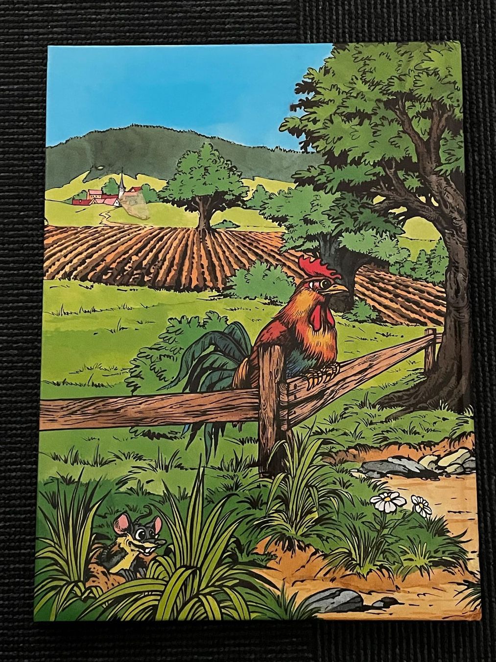 Fumetti: RINGGI+ZOFI - ABENTEUER AUF DEM BAUERNHOF – Usato da Zürich venduto da plumita 5