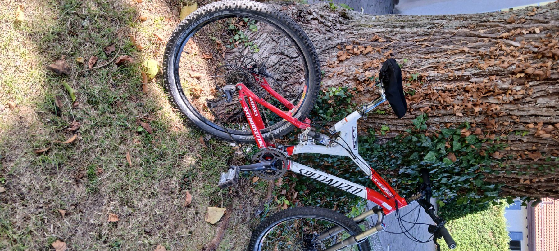 Biciclette: Mtb Specialiced – Usato da Gossau SG venduto da pluto69 5