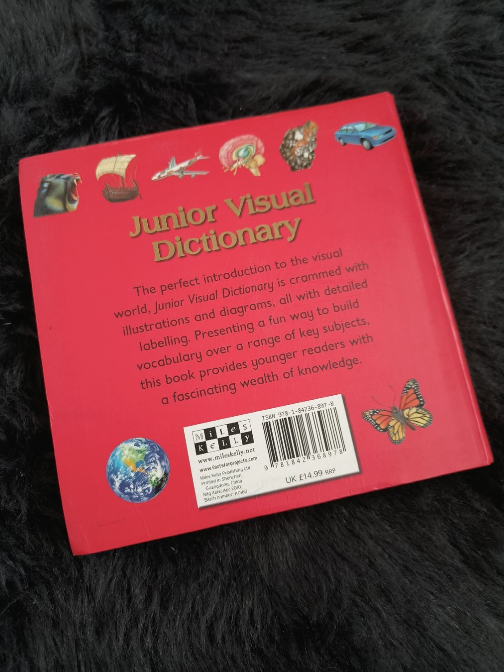 Livres: Junior Visual Dictionary – D'occasion à Dietlikon par Dietlikon_Verkauf 1