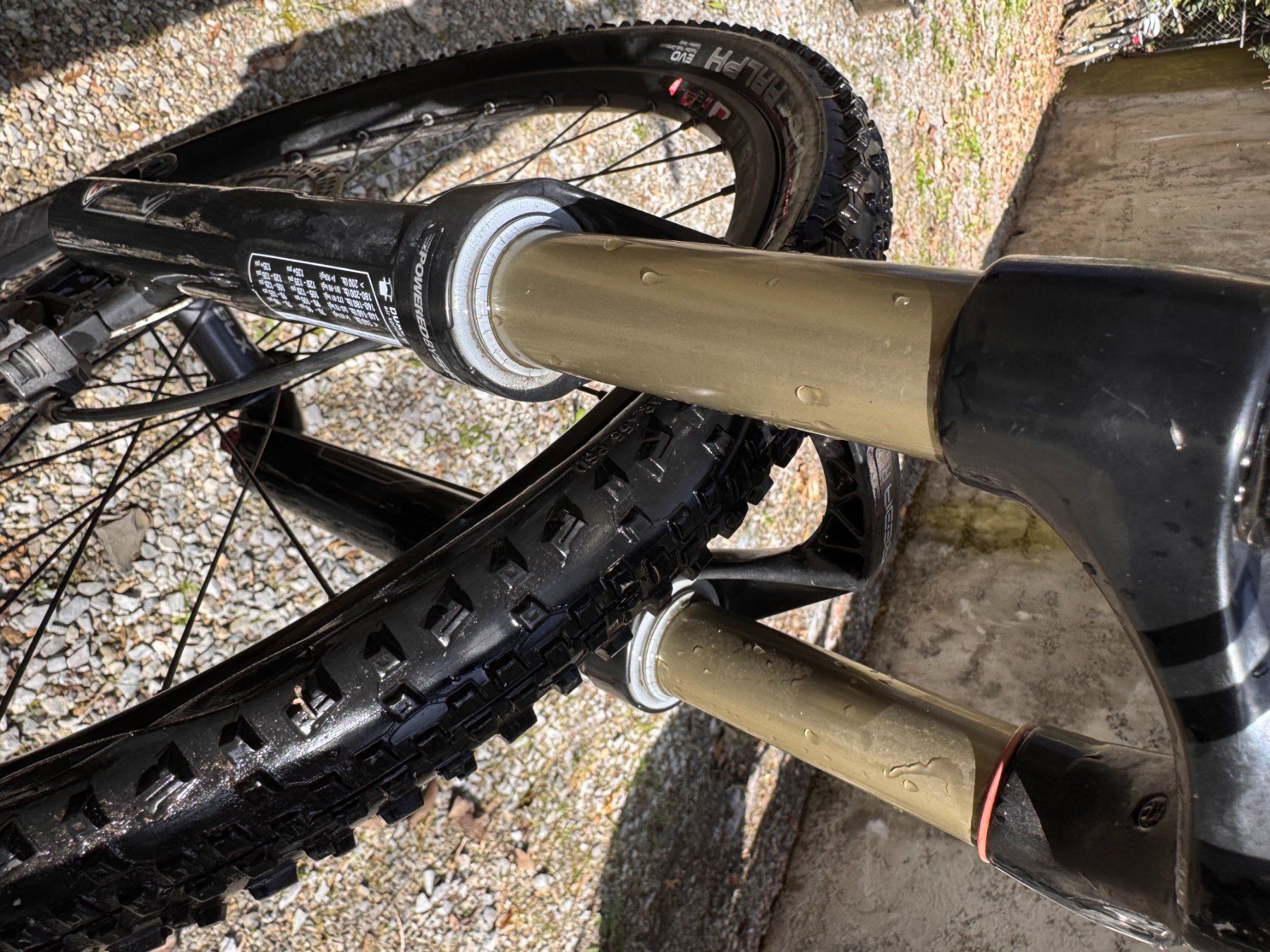 Velos: Mountainbike – Gebraucht aus Zürich von hannabenc 3