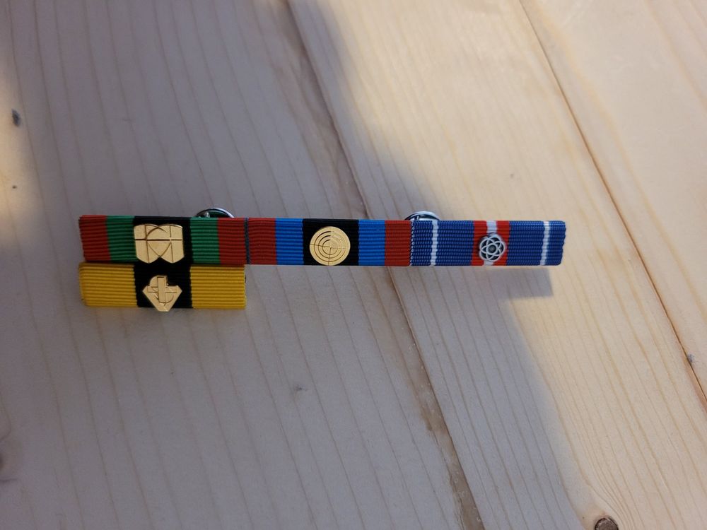 4 ribbons mit Schiene (Neu (gemäss Beschreibung)) in Danis für CHF 50 ...