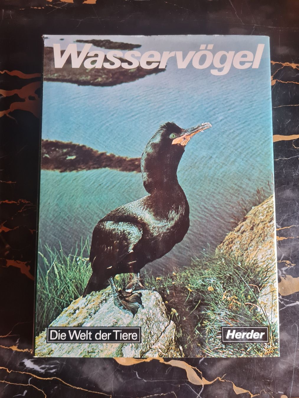 Libri: Die Welt der Tiere 4 Bände Herder Tierbücher – Usato da Bäretswil venduto da Rio. 3