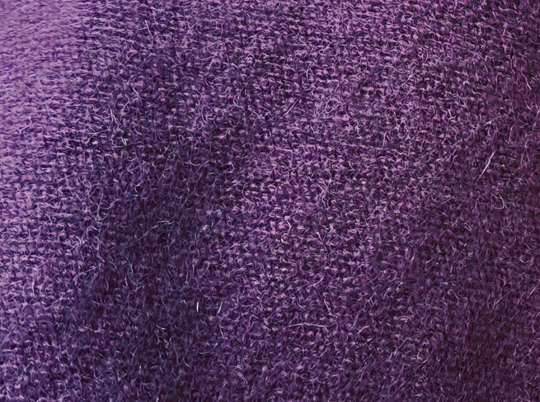 Maddison Maglioni & Felpe: Rollkragenpullover aus 100% Kaschmir, Gr. M – Usato da Oberhasli venduto da Lea98 6