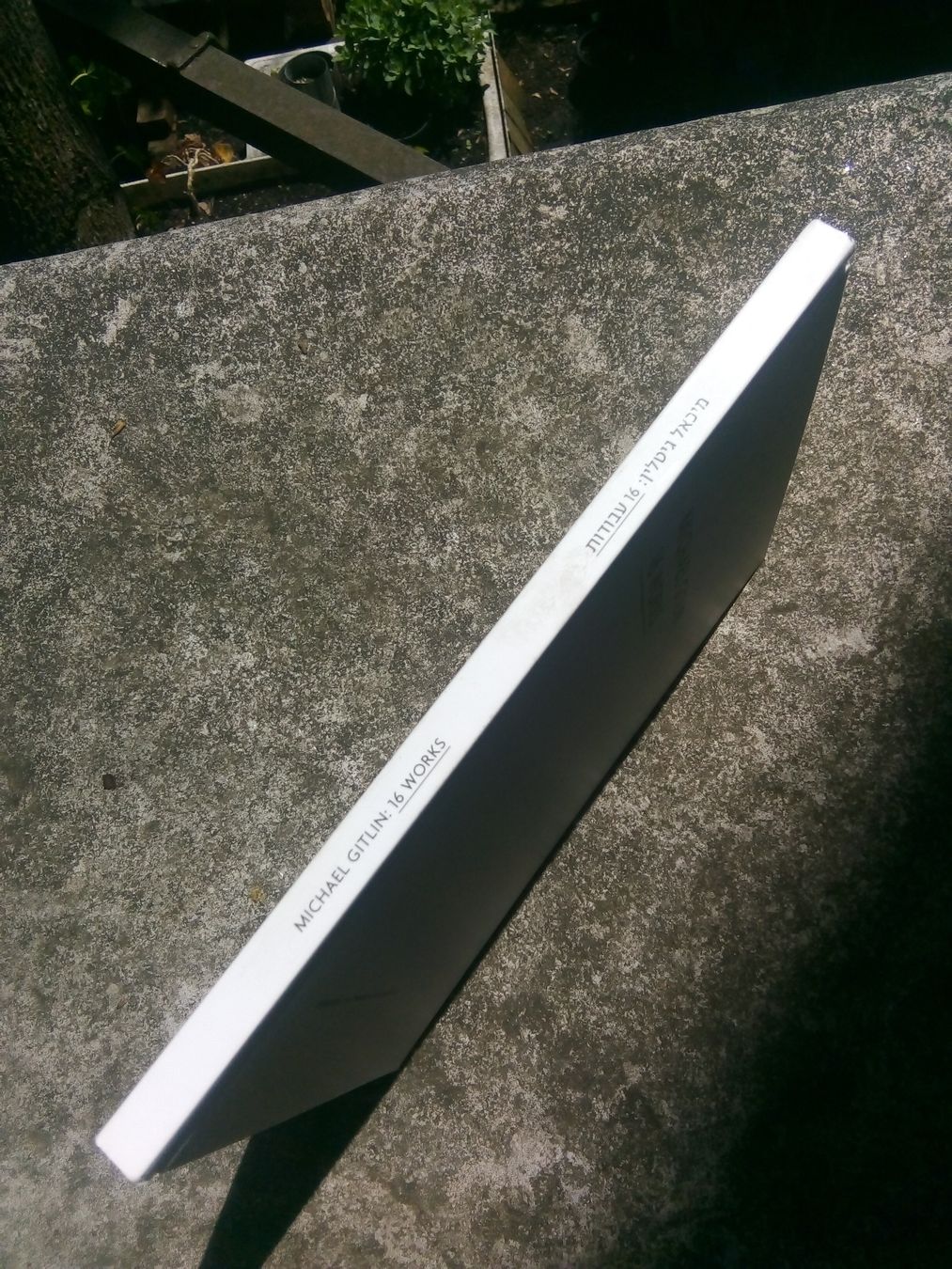 Libri: Michael Gitlin: 16 Works (Kunstbuch)   ©'2014 – Usato da St.Galllen venduto da elkaphone 9