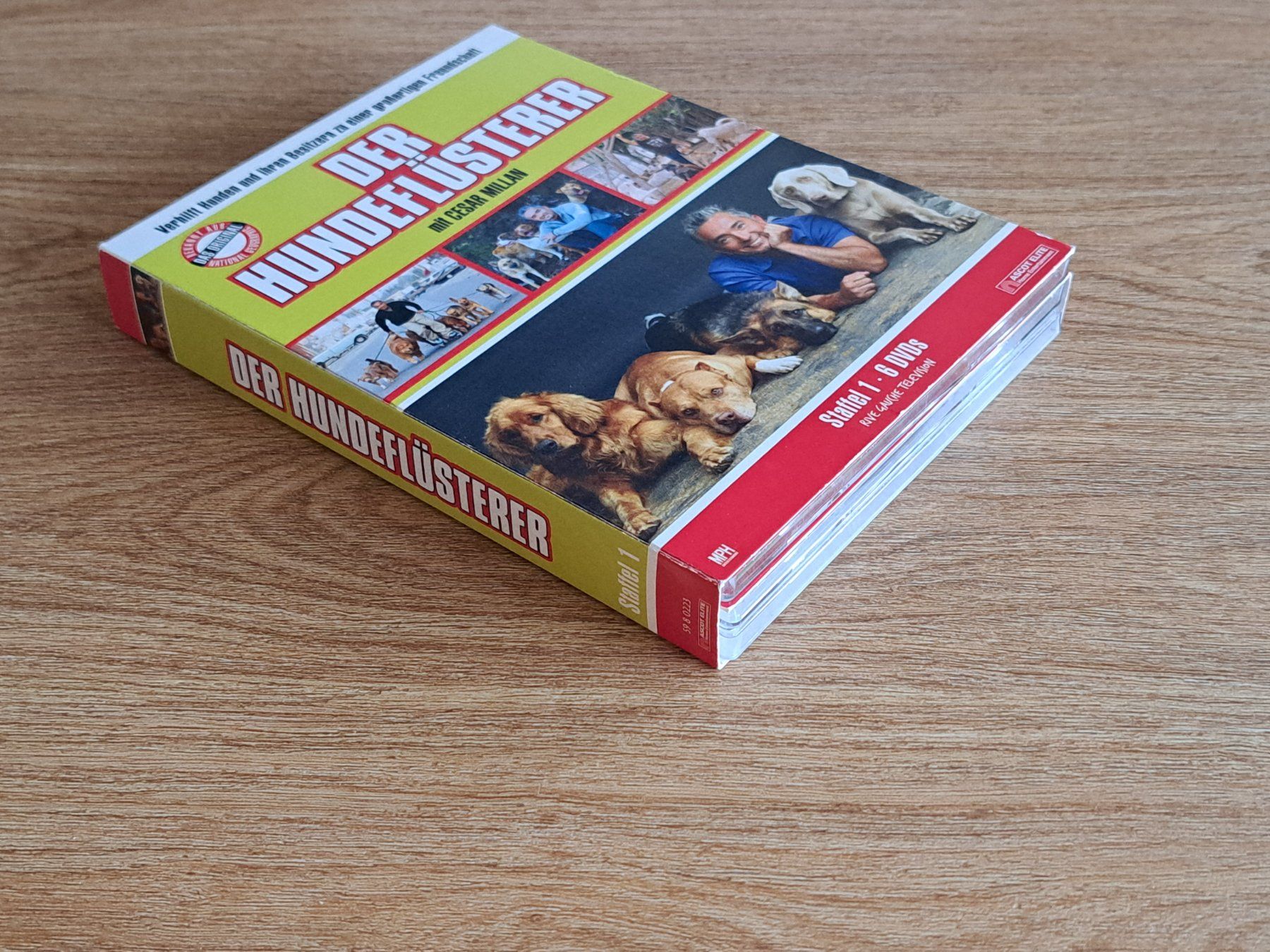 Alle DVDs: Der Hundeflüsterer - Staffel 1, Boxset mit 6 DVDs – Neu (gemäss Beschreibung) aus Unterseen von Kanica 5