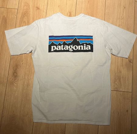 T-shirt Patagonia homme manche courte logo montagne