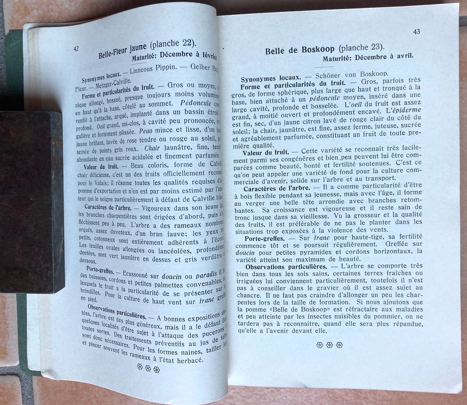 Bücher: Pomologie Romande Illustrée - 1916 – Gebraucht aus Versoix von HELVETICA_1 3