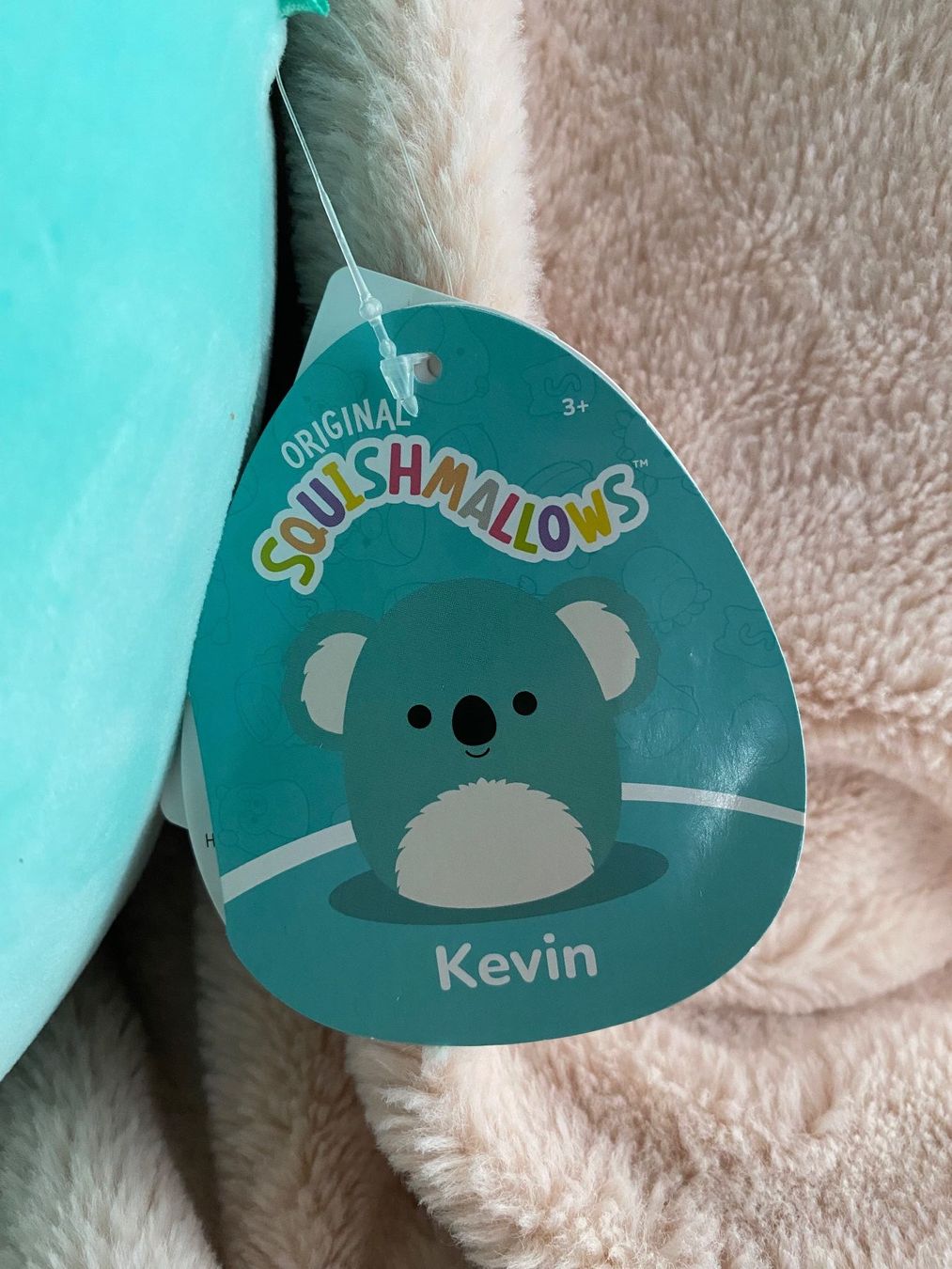 Squishmallows Giocattoli: Squishmallow KEVIN der Koala / NEU – Nuovo (secondo la descrizione) da Nussbaumen AG venduto da schuba2000 1