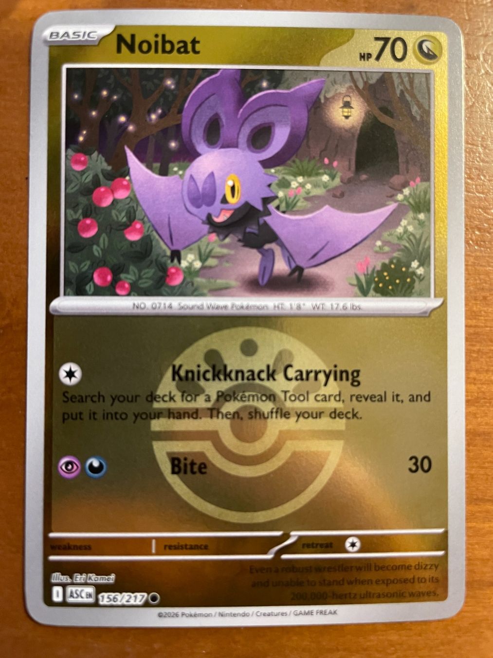 Pokémon Carte collezionabili: Pokemon Noibat Reverse (Versand gratis) – Nuovo (secondo la descrizione) da Chur venduto da Angerson