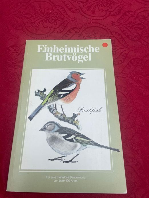 Livres: Einheimische Brutvögel Buchfink – D'occasion à Bergdietikon par book-4-you