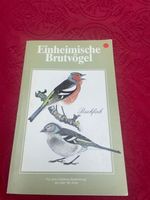 Einheimische Brutvögel Buchfink