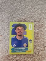Carte Panini WM 2026