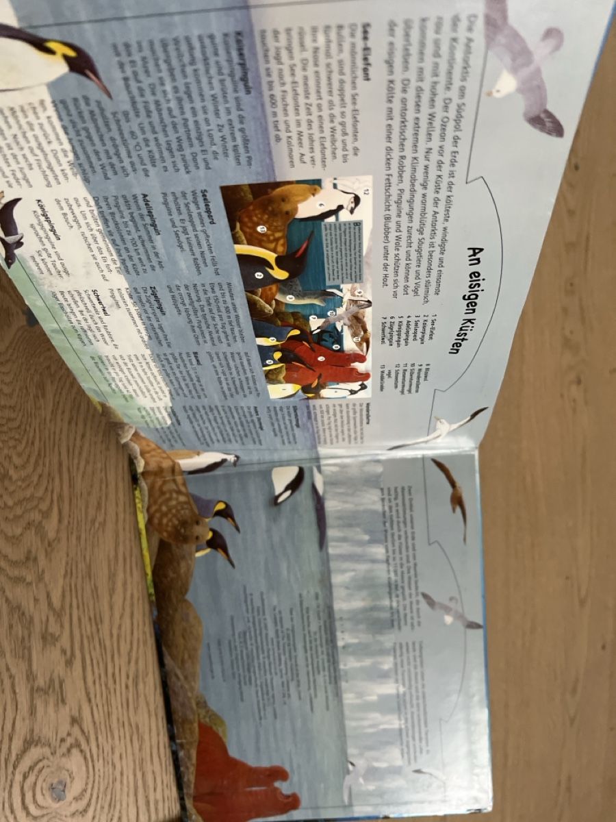 Libri: Zauberklang der Meere - Geräusche Pop-Up Buch  – Usato da Oensingen venduto da katepe 8