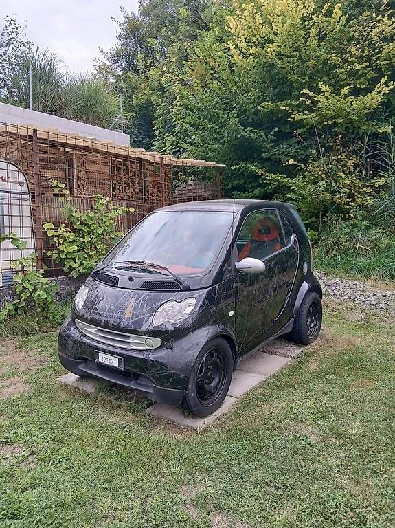 Smart Autos: Smart für Export......oder Hobbyschrauber – Gebraucht aus Leuzigen von Moserli1