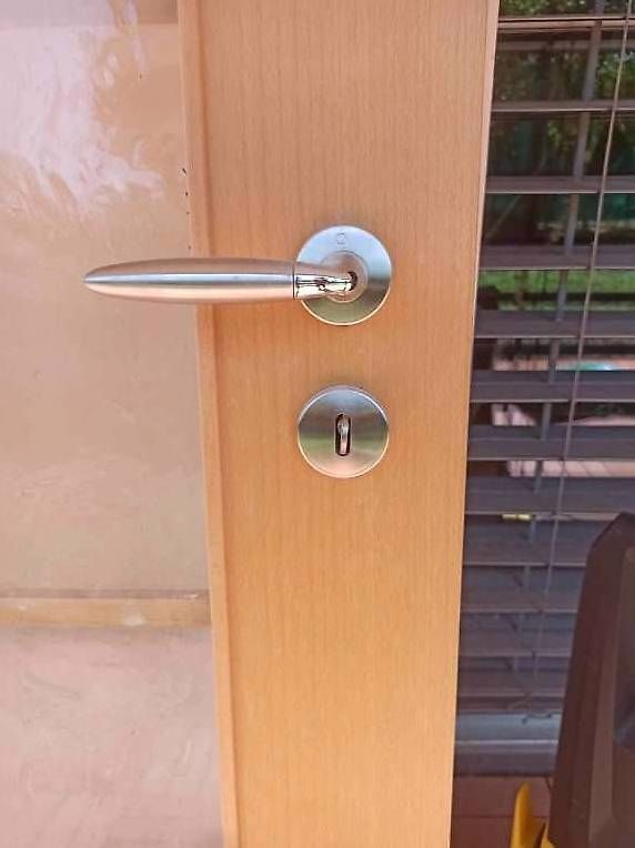 Türen: porte de salon avec vitres 85 x 200 – Gebraucht aus Grand-Lancy von jer_m8tv 1