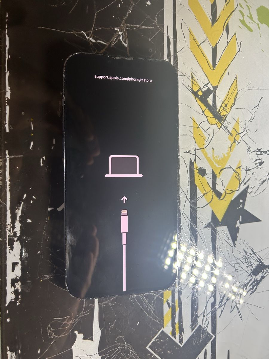 Apple Telefoni cellulari / Smartphones: iPhone 13pro max 256gb  – Usato da Sierre venduto da joa_9829