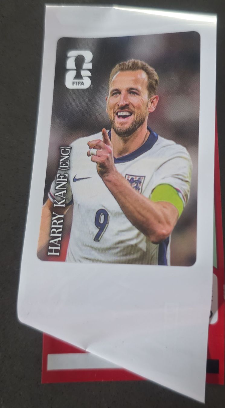 Panini Carte collezionabili: Panini coca Cola Harry Kane  – Usato da Massagno venduto da Arj87