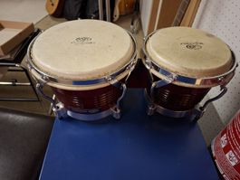 Bongo