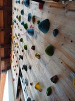 Kletterwand Klettergriffe mit 83 Griffen