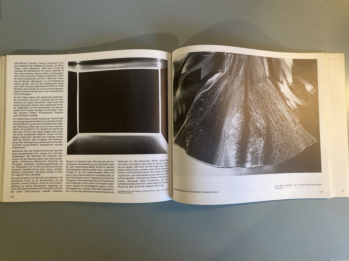 Libri: Dimensionen des Plastischen Bildhauertechniken – Usato da Zürich venduto da ann_9fv5 2