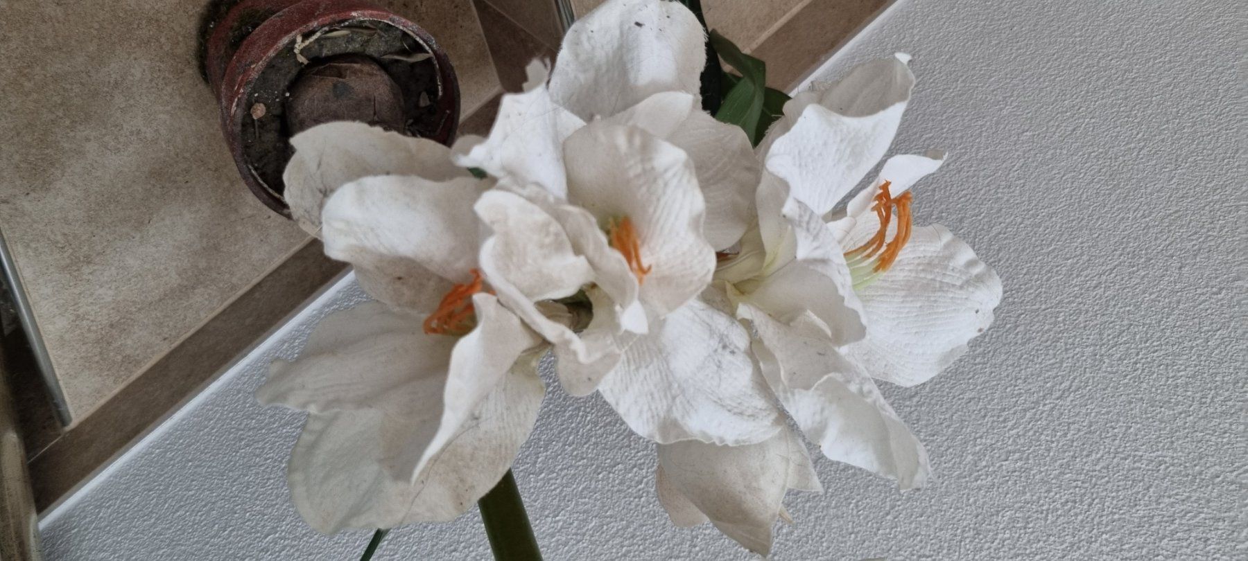 Piante & sementi: Künstliche Amaryllis gross – Usato da Grossdietwil venduto da GNOM313 1